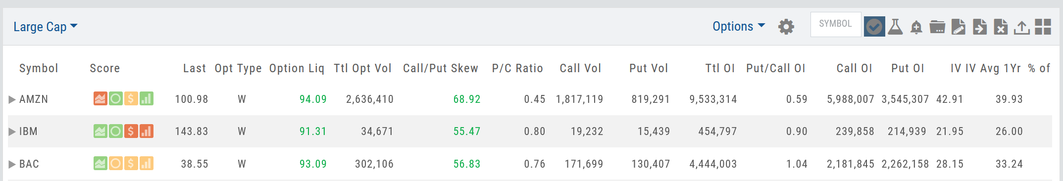 Large Cap list displaying a custom Options view: columns for Opt Type, Option Liq, Ttl Opt Vol, Call/Put Skew, P/C Ratio, Call Vol, Put Vol, Ttl OI, Put/Call OI, Call OI, Put OI, and IV for AMZN, IBM, and BAC