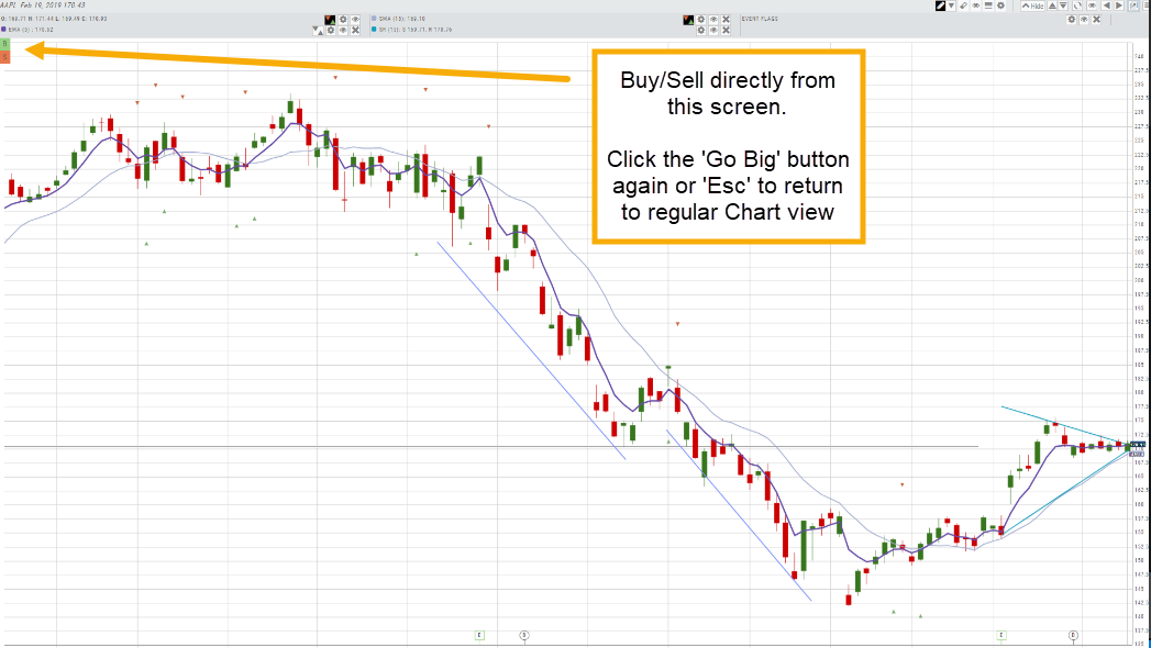 The chart expanded to full screen after Go Big: buy/sell directly from this screen, and click Go Big again or Esc to return to the regular chart view