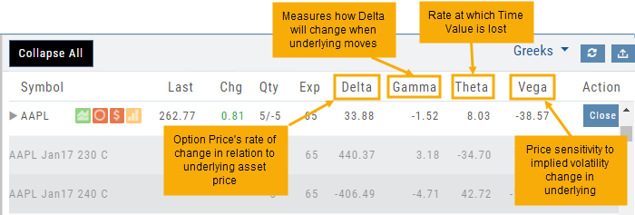 Greeks view of an AAPL position with Delta, Gamma, Theta, and Vega columns