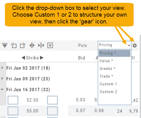 Option view dropdown open (Pricing, Value, Greeks, Trade, Custom 1, Custom 2) with the note to choose Custom 1 or 2 and click the gear icon to structure your own view