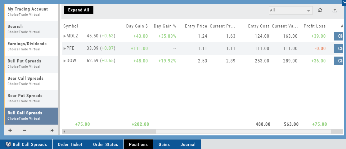 The Positions tab: option spread positions with Day Gain $ and %, Entry Price, Current Price, Entry Cost, Current Value, Profit/Loss, and totals along the bottom