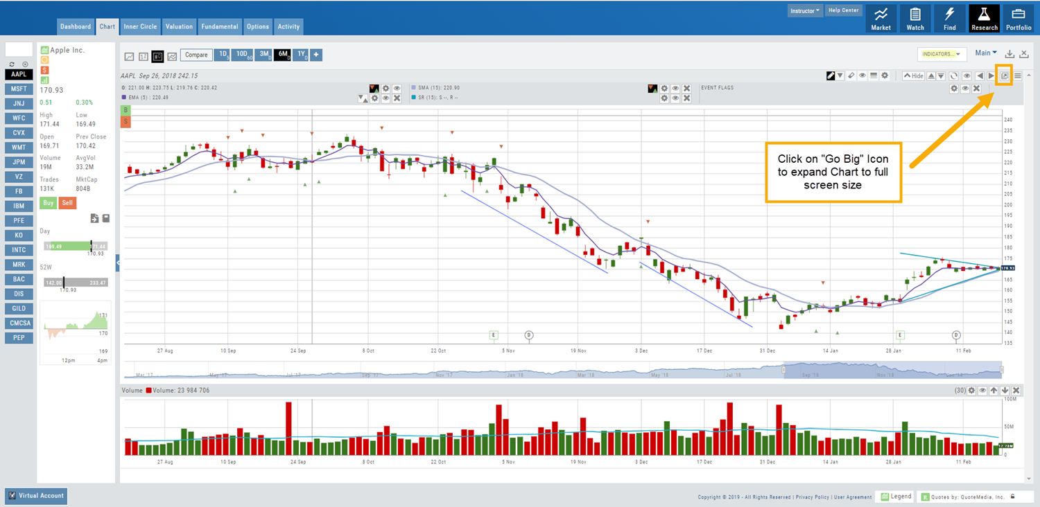 The full Chart tab with an arrow to the Go Big icon in the chart toolbar: click it to expand the chart to full screen size