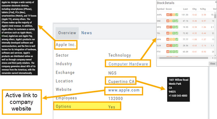The Overview panel annotated: the company name, Industry, Location, and website are active links, the Options row shows Yes, and arrows point to the company-description popup, the Stock Details list, and the address card