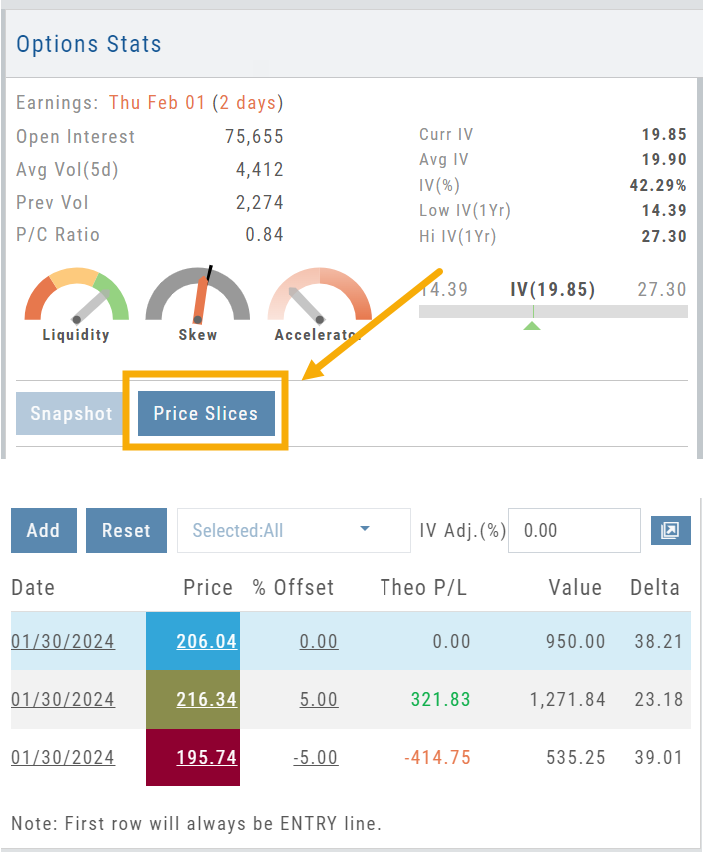 Options Stats panel with the Price Slices button highlighted, and the Price Slices table below: entry row 206.04 in blue, 216.34 (+5%) in green, 195.74 (-5%) in red, each with Theo P/L, Value, and Delta