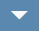 Expand (caret) icon