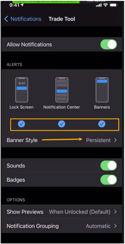 iPhone Trade Tool notification settings with Sounds, Badges, Show Previews, and Notification Grouping options