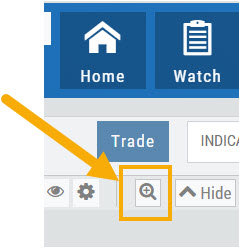The zoom (magnifier) icon above the chart, highlighted