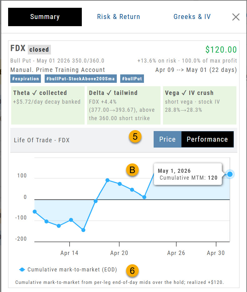 Options trade Summary tab, Performance view